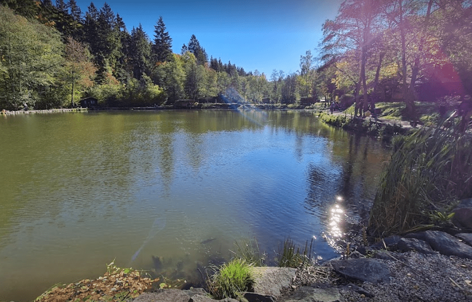 Forellenteich NRW Forellenteich in der Nähe NordrheinWestfalen
